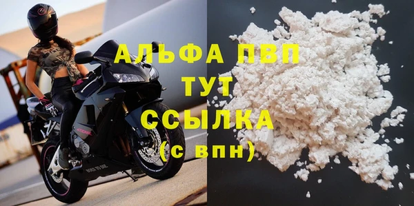спиды Кущёвская