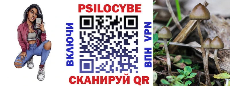 KRAKEN ссылка  Мышкин  Псилоцибиновые грибы Cubensis 