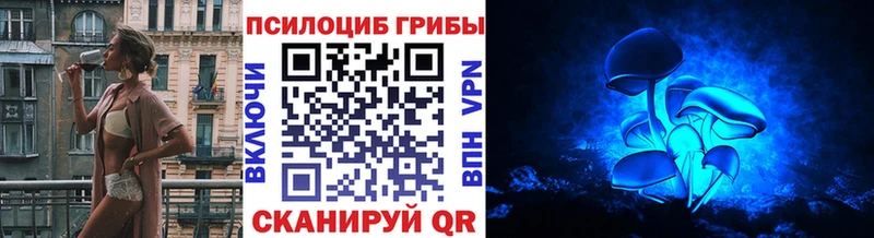 Галлюциногенные грибы Cubensis Мышкин
