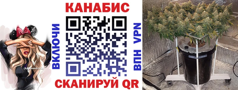 Бошки Шишки VHQ  Мышкин 